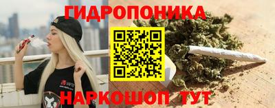 индика Анжеро-Судженск