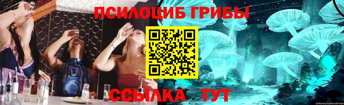 Псилоцибиновые грибы мухоморы Ростов-на-Дону