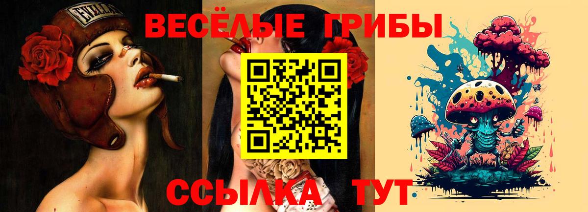 Ростов-на-Дону  Галлюциногенные грибы Cubensis  Вход с VPN 
